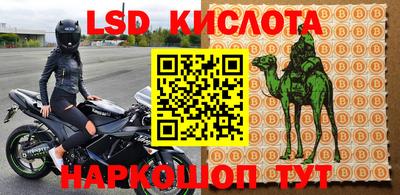 амф Новодвинск