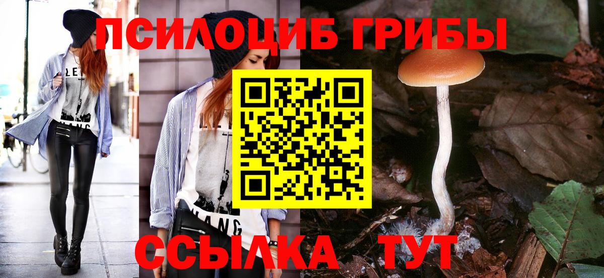 Семёнов  Галлюциногенные грибы ЛСД  Вход с VPN  Псилоцибиновые грибы MAGIC MUSHROOMS 